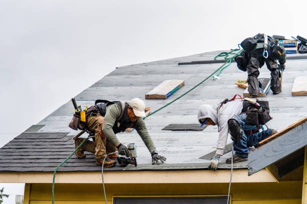 Professional Roof Inspection technician working in Rifton, NY
